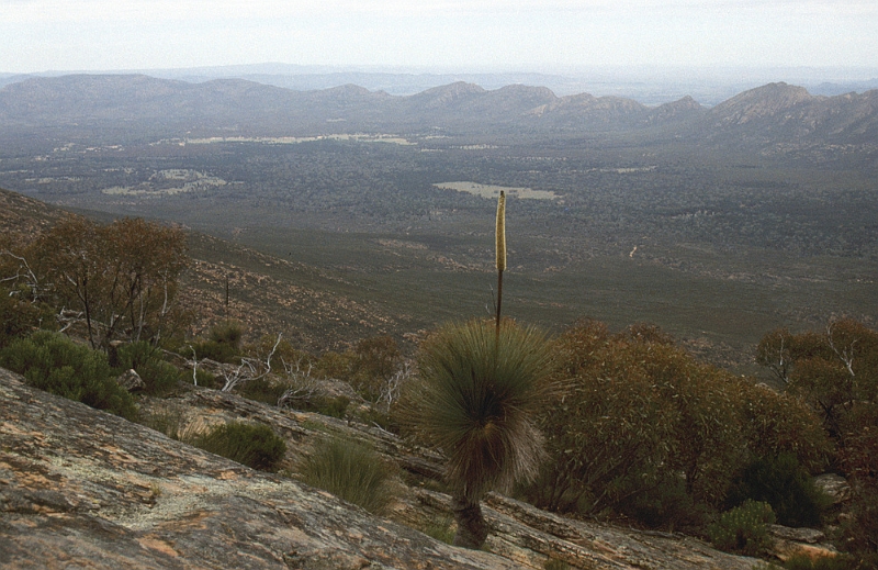 718_Flinders Ranges.jpg